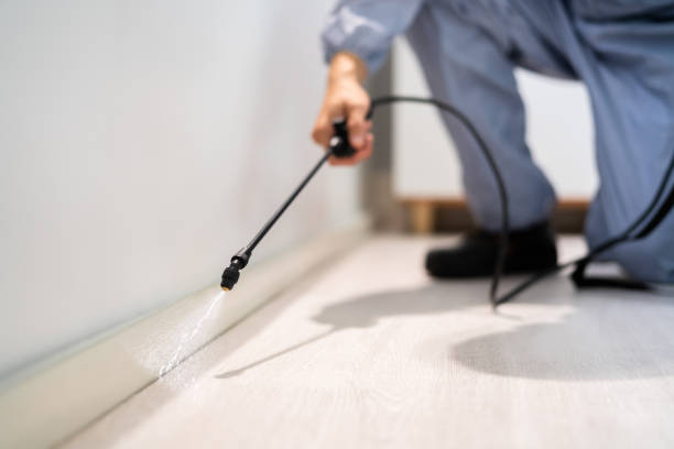 Licensed Fumigation Services service in Brunswick County County, VA - Nex Pest Control